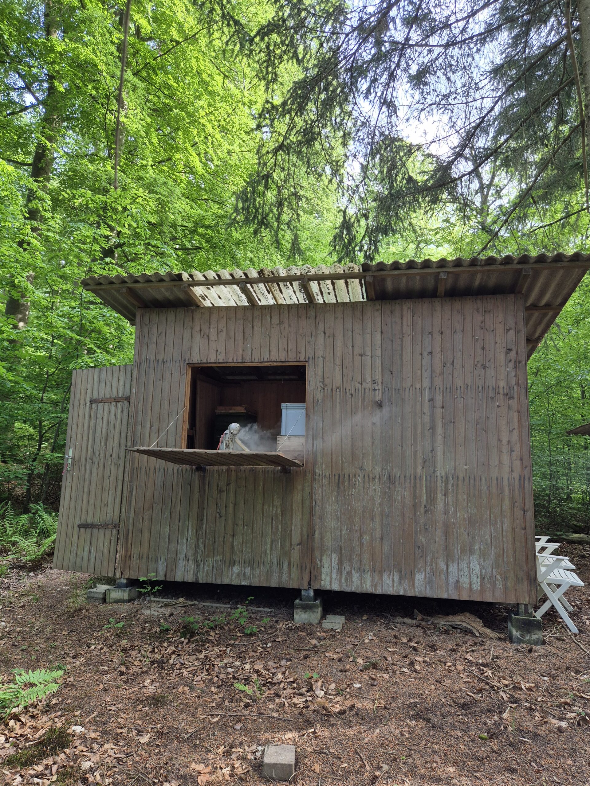 Vereinsbienenstand
